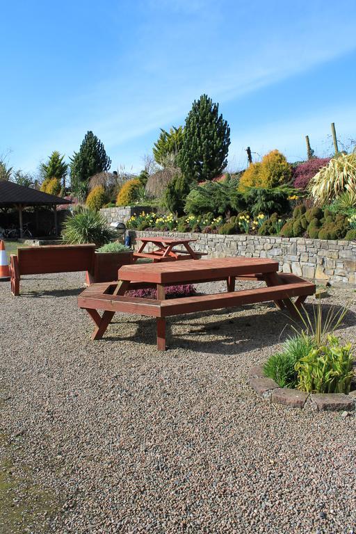 Bective Mill B&B Kilmessan Kültér fotó